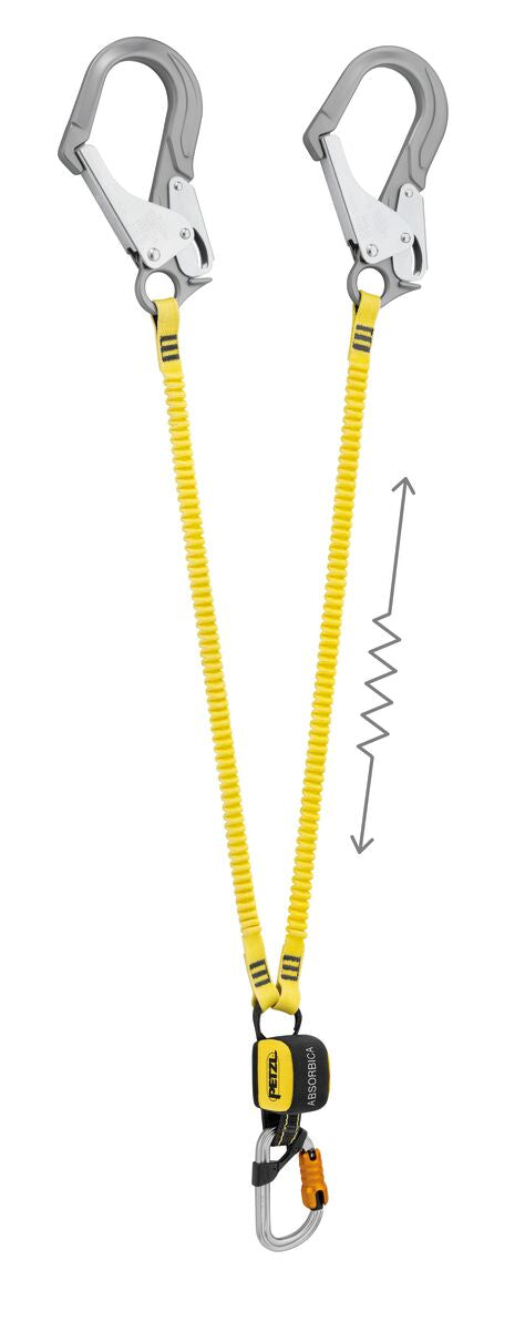 ABSORBICA®-Y MGO version internationale